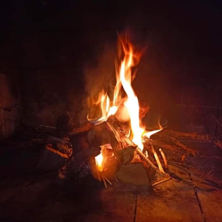 לוס סילוס Casa Canaria Tradicional Rosalia מראה חיצוני תמונה